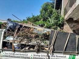 Best Shed Removal  in Hampshire, IL